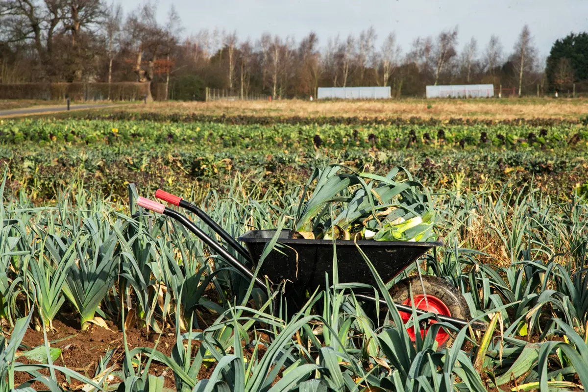 Algy’s Farm Shop — farm shop